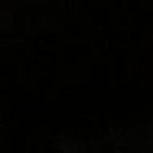 Meet your Posher, Flor